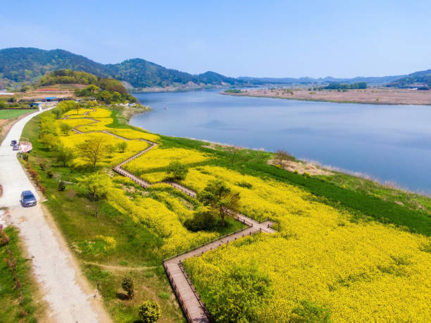 광주 동산파크골프장 예약 방법