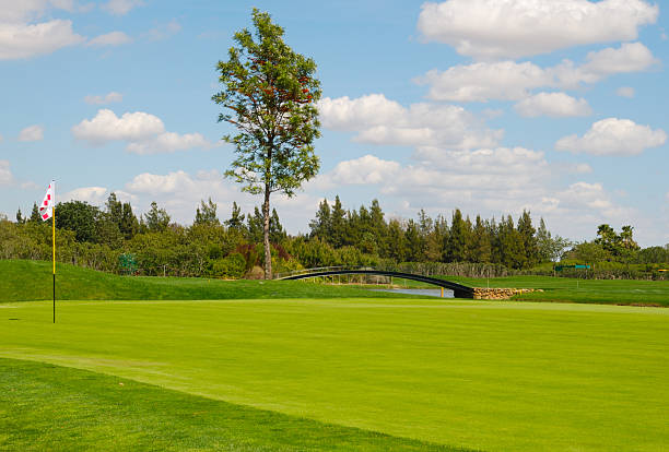 담양 옥담파크골프장 예약 방법