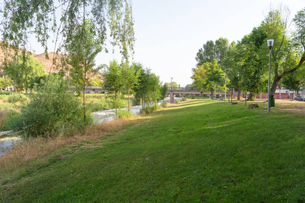 탄천 파크골프장 예약 방법