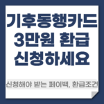 기후동행카드3만원 환급