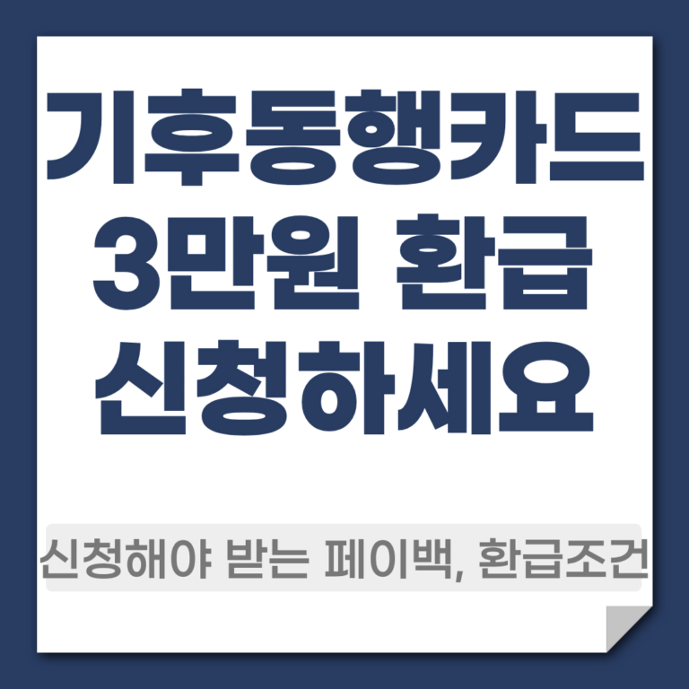 기후동행카드3만원 환급
