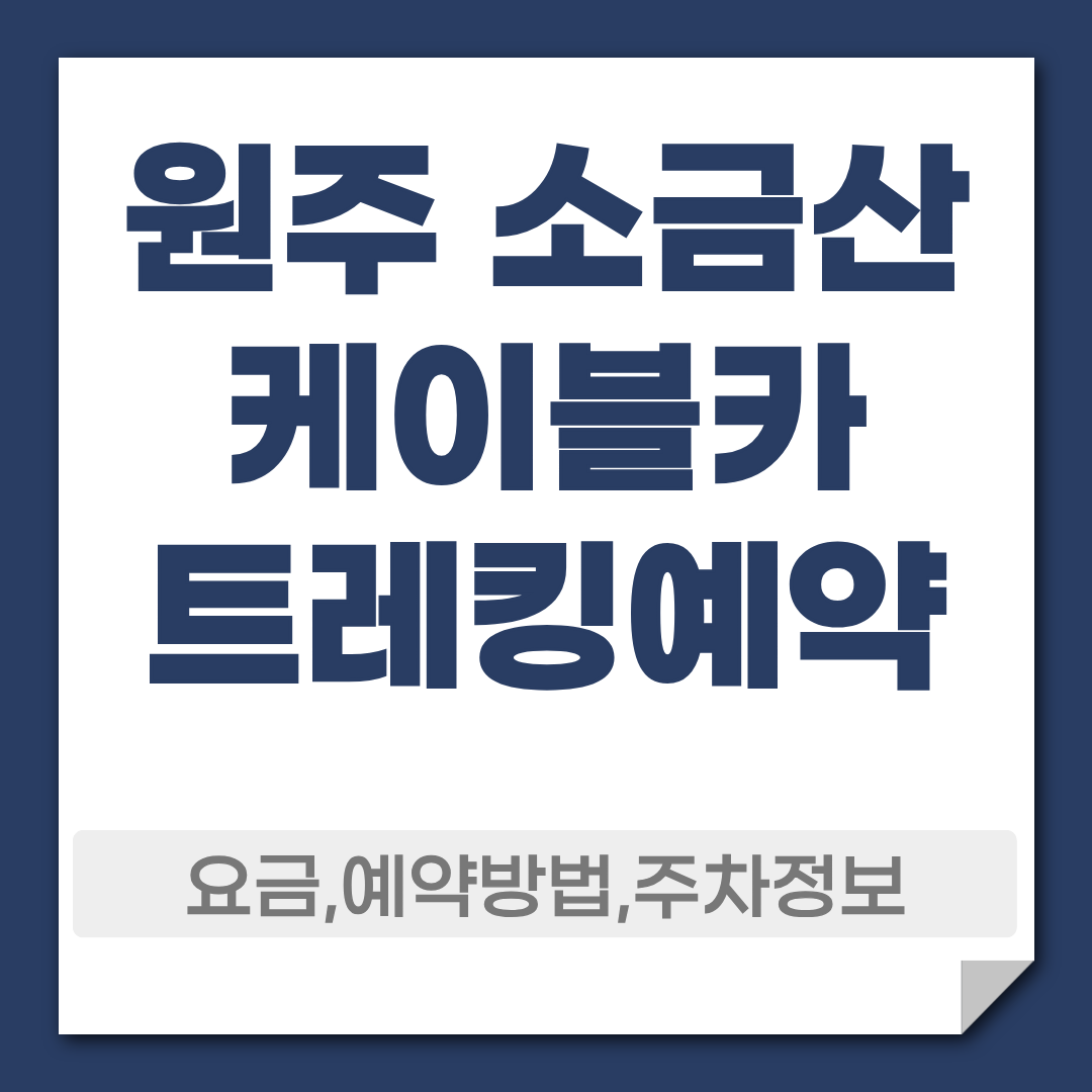 원주 소금산 그랜드밸리 케이블카 예약 방법 즐길거리 종합 가이드 1 원주 소금산 케이블카 예약 방법