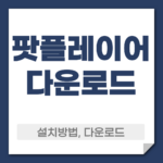 팟플레이어 다운로드