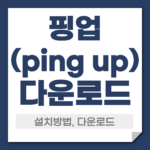 핑업 다운로드 설치