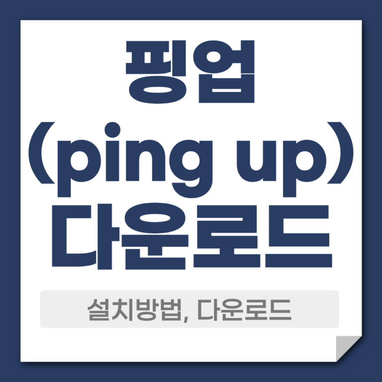 핑업 다운로드 설치