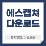 에스캡쳐 다운로드