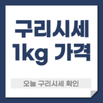 오늘 구리시세